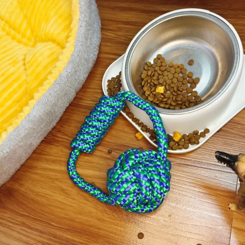 Dolanan Tali Chewing Agresif: Kudu ndeleng Perlengkapan Pet