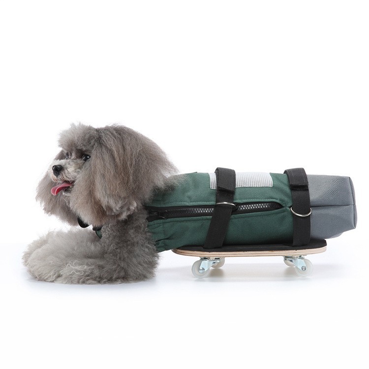 Pet Walking Aid Cacat Skateboard